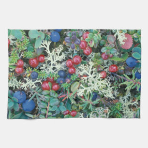 Paño De Cocina Norteamérica, Estados Unidos, Alaska, Paisaje, bay