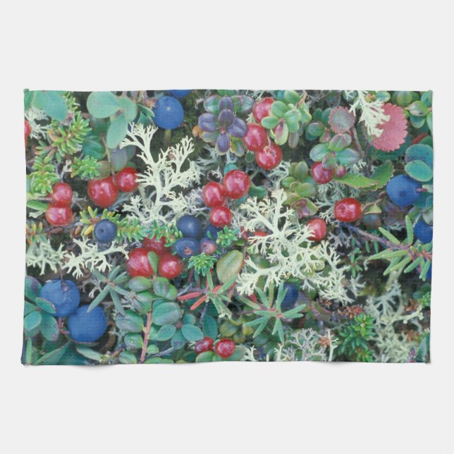 Paño De Cocina Norteamérica, Estados Unidos, Alaska, Paisaje, bay (Horizontal)