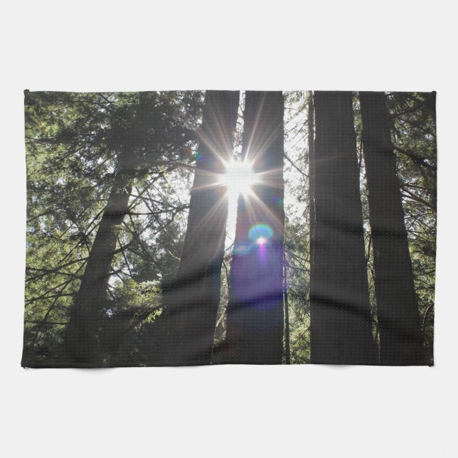 Paño De Cocina Nuevos productos (Horizontal)