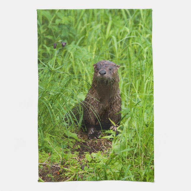 Paño De Cocina Nutria de río inteligente (Vertical)