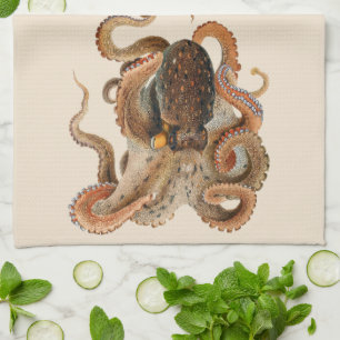 Paño De Cocina Octopus Vulgaris, Animales de la Vida Marina Antig