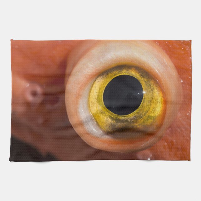 Paño De Cocina Ojo de pez rocoso (Horizontal)
