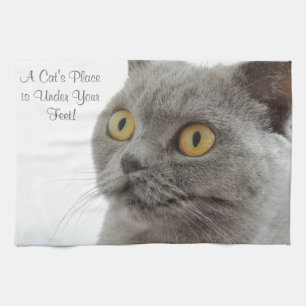 Paño De Cocina Ojos dorados de gatos grises de cerca