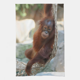 Paño De Cocina OrangUtan 001