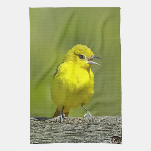 Paño De Cocina Orchard Oriole - Foto original (Vertical)