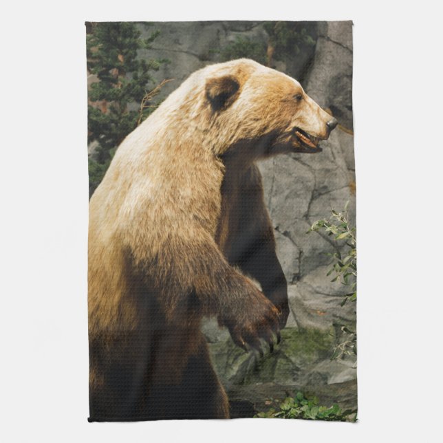 Paño De Cocina Orgullo (Vertical)