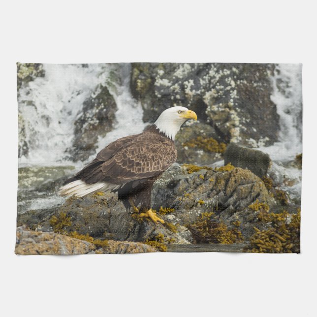 Paño De Cocina Orgulloso Bald Eagle (Horizontal)