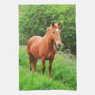 Paño De Cocina Orion