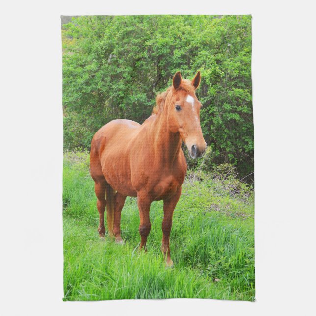 Paño De Cocina Orion (Vertical)