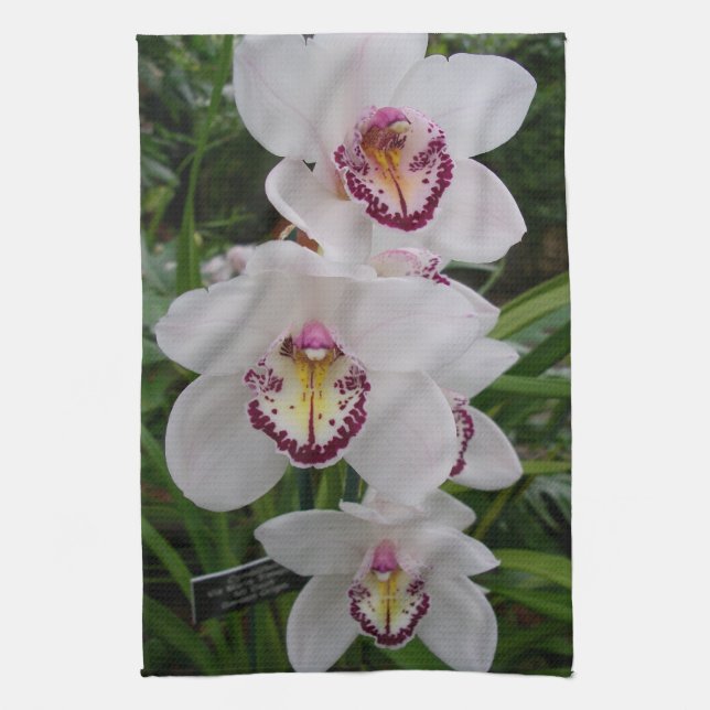Paño De Cocina Orquídeas Blancas Hermosas Flores Tropicales (Vertical)