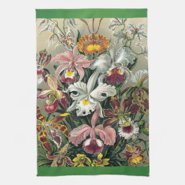 Paño De Cocina Orquídeas de Ernst Haeckel