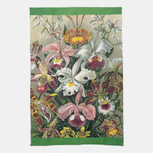 Paño De Cocina Orquídeas de Ernst Haeckel