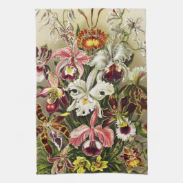Paño De Cocina Orquídeas, Orquídea Denusblumen Ernst Haeckel 