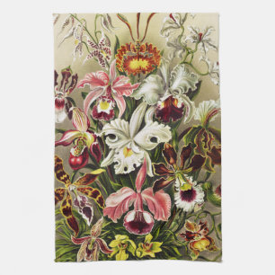 Paño De Cocina Orquídeas, Orquídea Denusblumen Ernst Haeckel