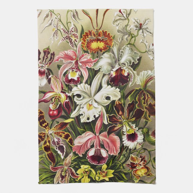 Paño De Cocina Orquídeas, Orquídea Denusblumen Ernst Haeckel  (Vertical)