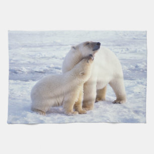 Paño De Cocina Osa de oso polar con cría, manada