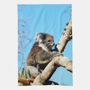 Paño De Cocina Oso Koala Australiano En Viejo Pino,