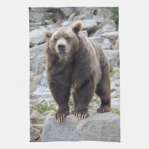 Paño De Cocina Oso Kodiak