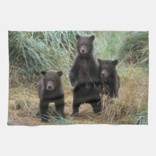 Paño De Cocina oso pardo, Ursus arctos, oso grizzly, Ursus 7 2
