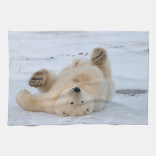 Paño De Cocina oso polar, Ursus maritimus, cachorro rodando 3