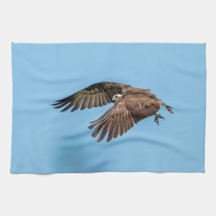 Paño De Cocina Osprey en vuelo en el Parque Estatal de la Isla de