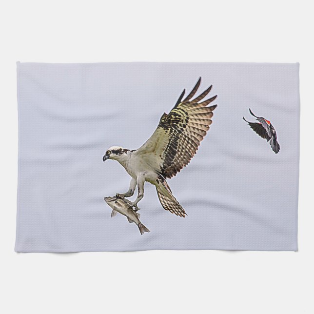 Paño De Cocina Osprey que es perseguido por un mirlo de alas (Horizontal)