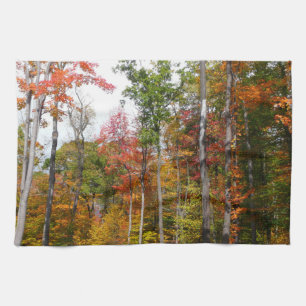 Paño De Cocina Otoño en el bosque Fotografía colorida de otoño