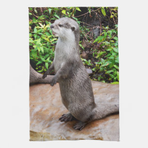 Paño De Cocina Otter Esté Hablándome,