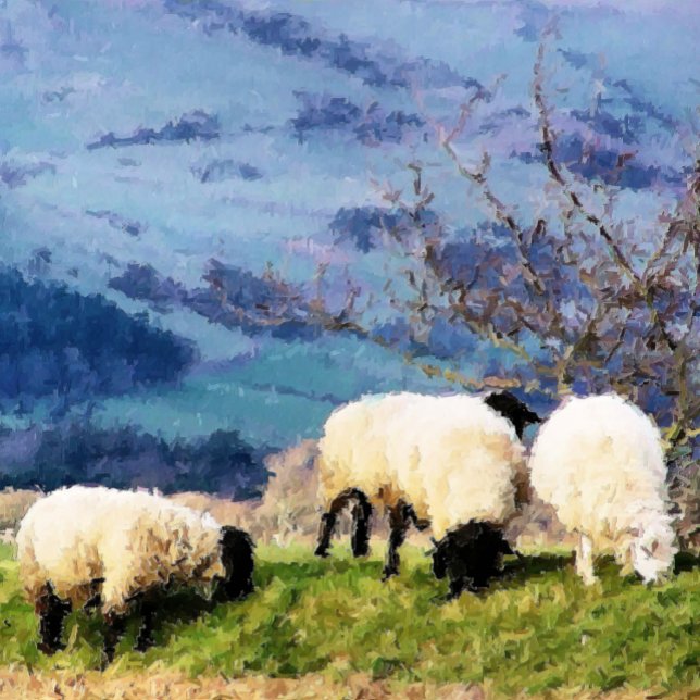 PAÑO DE COCINA OVEJAS (A beautiful digital oil painting of sheep)