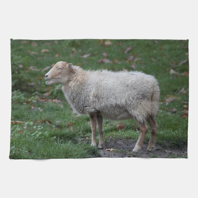 Paño De Cocina Ovis aries (Horizontal)