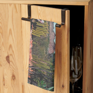 Paño De Cocina Paisaje del desierto de África Naturaleza Cactus P