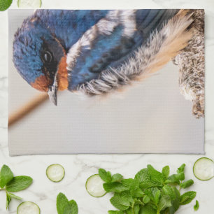 Paño De Cocina Pájaro azul, barbecho de barn, fotografía canadien