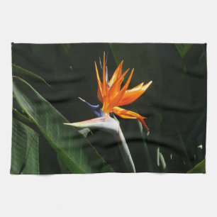 Paño De Cocina Pájaro del Naranja del paraíso Flor tropical