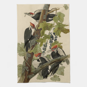Paño De Cocina Pájaro leñoso perpendicular de las aves auduónicas