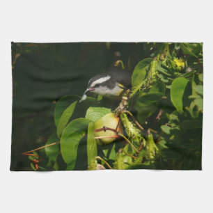 Paño De Cocina Pájaro Mielero Comiendo Fotografía Tropical