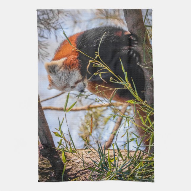 Paño De Cocina Panda rojo (Vertical)