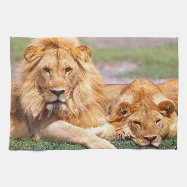 Paño De Cocina Pareja de Leones Africanos, Panthera leo, Tanzania (Horizontal)