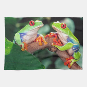 Paño De Cocina Pareja de ranas de ojos rojos, Agalychinis callidr