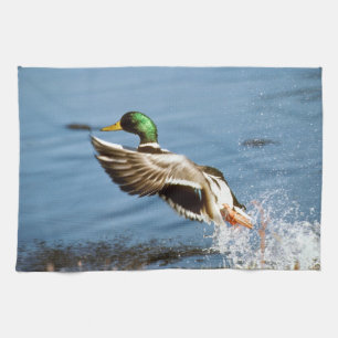 Paño De Cocina Pato de Drake del pato silvestre