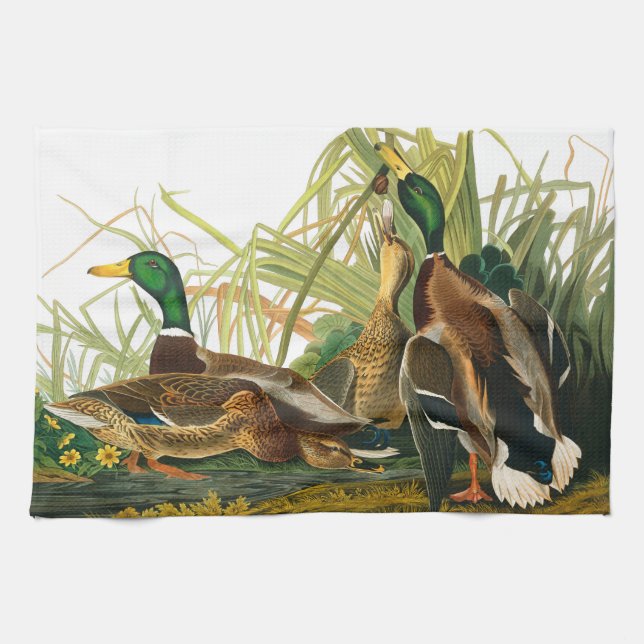 Paño De Cocina Pato Mallard de John James Audubon (Horizontal)