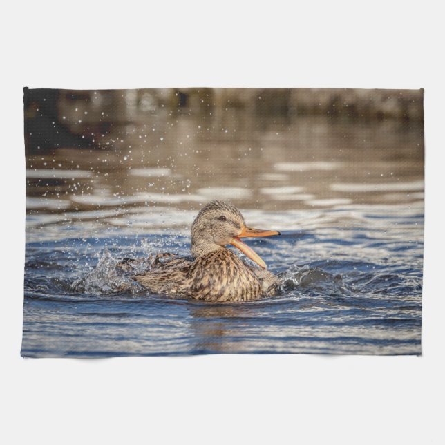 Paño De Cocina Pato Mallard en Downing Park (Horizontal)