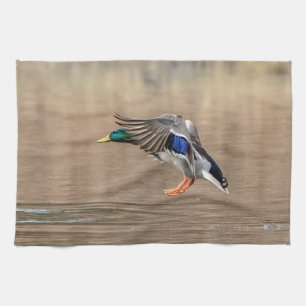 Paño De Cocina Pato Mallard en vuelo