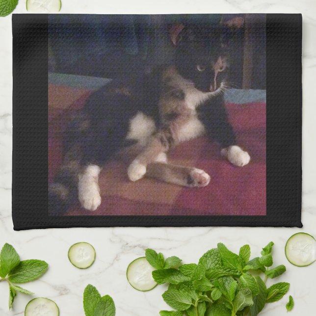 Paño De Cocina Paws gatitos blandos (Doblado)