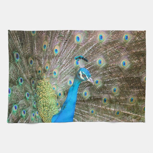 Paño De Cocina Peacock con plumas hinchadas - Foto de aves silves (Horizontal)
