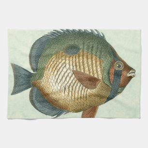 Paño De Cocina Peces coloridos