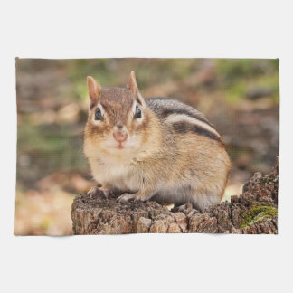 Paño De Cocina Pequeño Chipmunk lindo