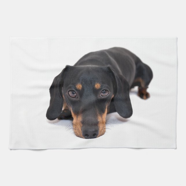 Paño De Cocina Pequeño Dachshund (Horizontal)