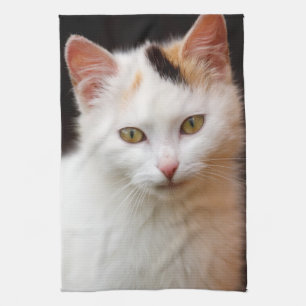 Paño De Cocina Pequeño gatito lindo