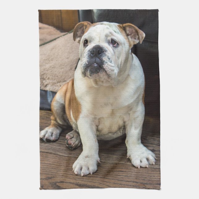 Paño De Cocina Perrito británico del bulldog (Vertical)