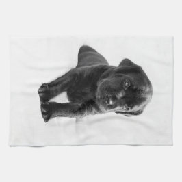 Paño De Cocina Perrito negro del perro de Labrador
